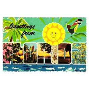 Vintage 1960s Greetings From Florida Postcard Travel Vacation Souvenir Scalloped